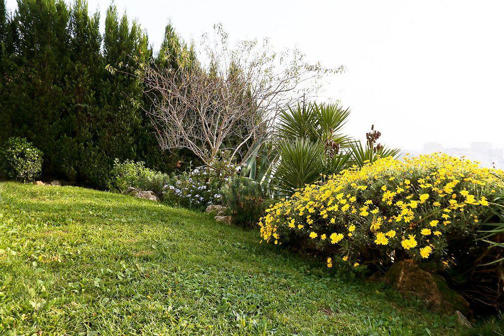 Villa Stephanie Mougins Exteriér fotografie